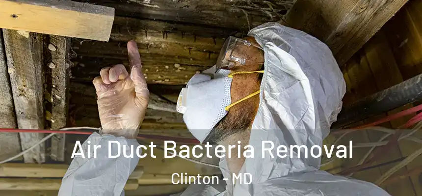  Air Duct Bacteria Removal Clinton - MD