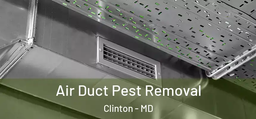  Air Duct Pest Removal Clinton - MD