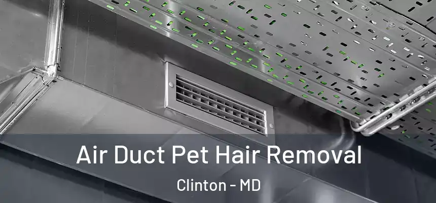  Air Duct Pet Hair Removal Clinton - MD