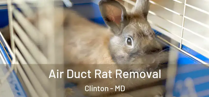  Air Duct Rat Removal Clinton - MD