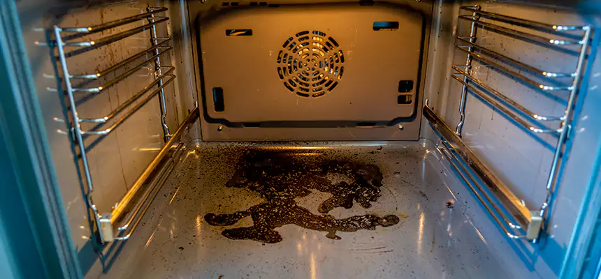 Our Dryer Vent Mold Cleaning Services in Clinton, MD