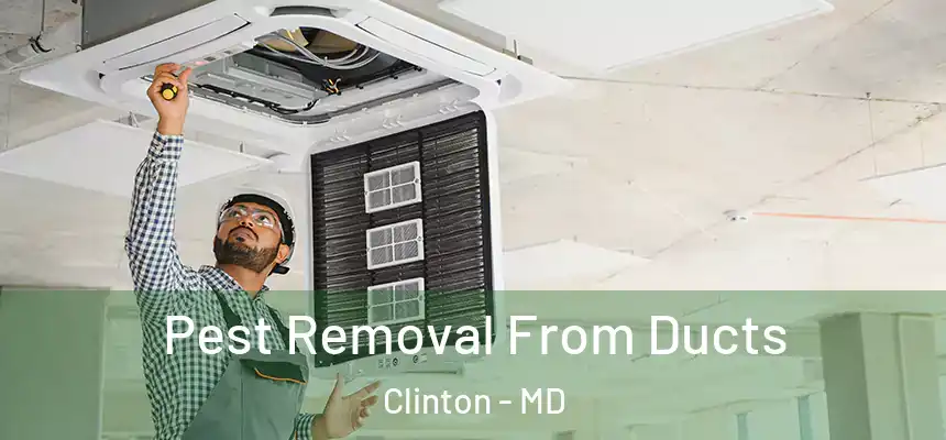  Pest Removal From Ducts Clinton - MD
