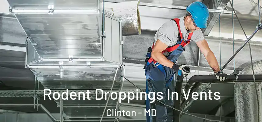  Rodent Droppings In Vents Clinton - MD