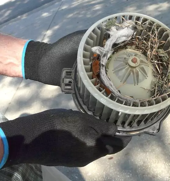 About Air Duct Mice Removal in Clinton, MD