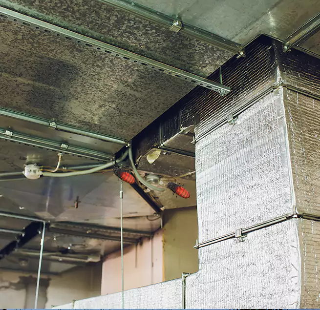 Why Homeowners & Businesses Trust Us Clinton, MD?