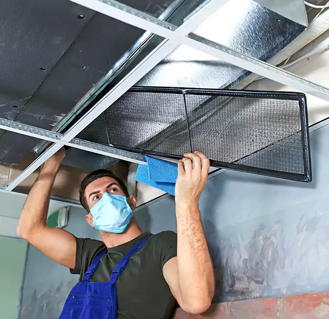 Why Homeowners Businesses Trust Us in Clinton, MD